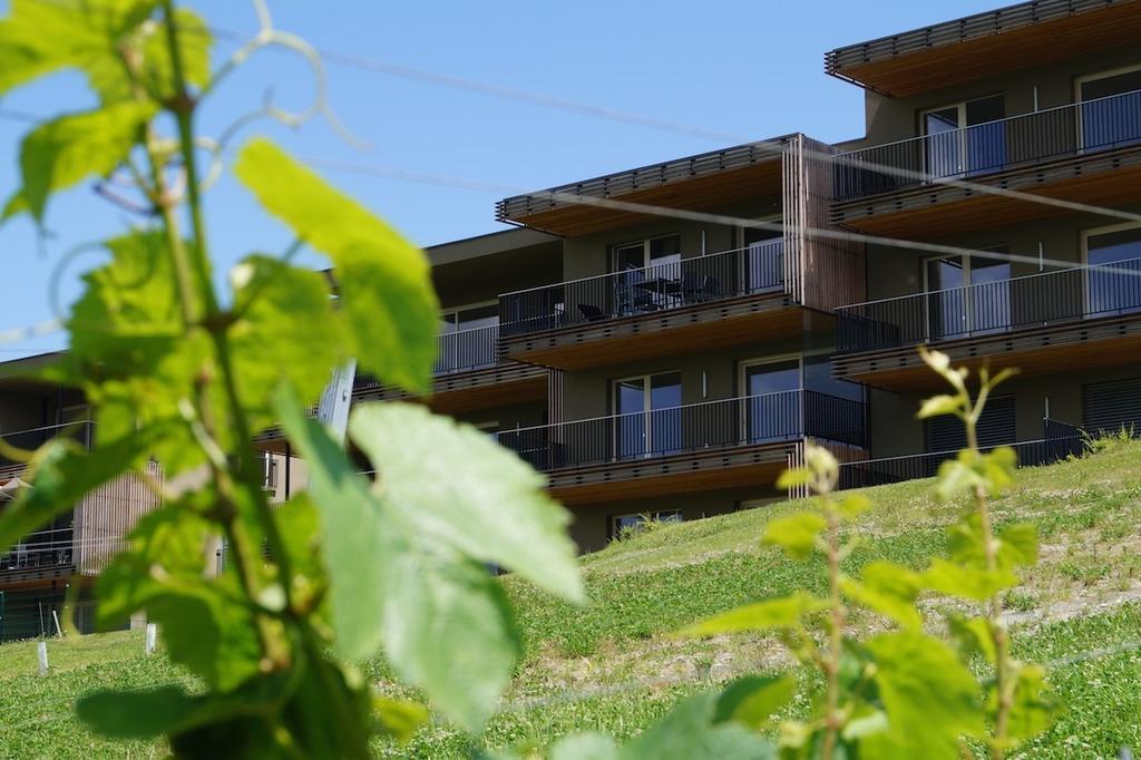 Relax Residence Suedsteiermark Эренхаузен Номер фото